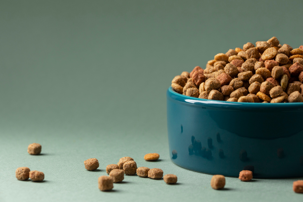 croquette-animal-de-compagnie Gamelle bleue de croquettes pour animal de compagnie sur fond vert